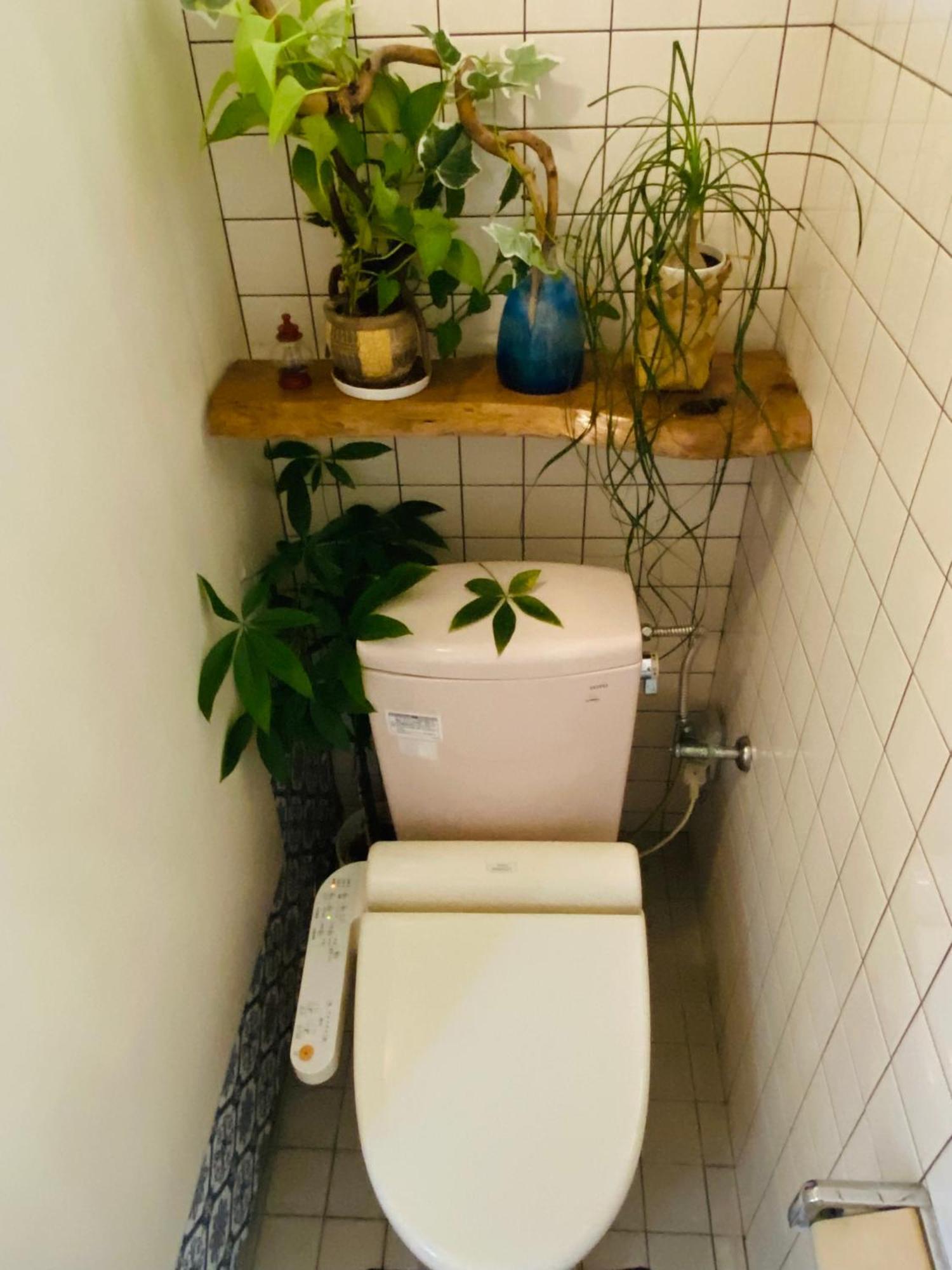 Apartament Irodoru Ishigaki  Zewnętrze zdjęcie